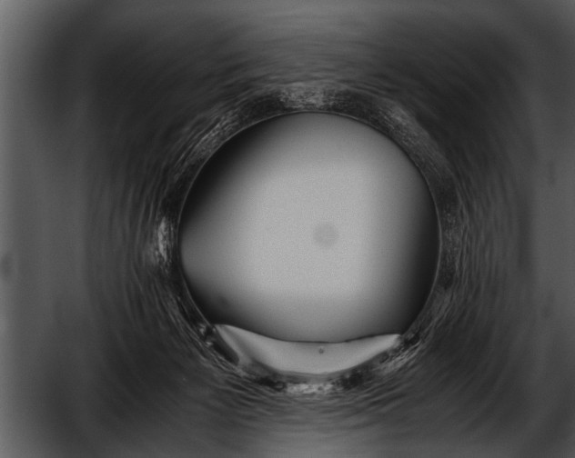 X0000052630125200507160141