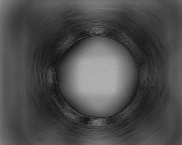 X0000052630126200507160141