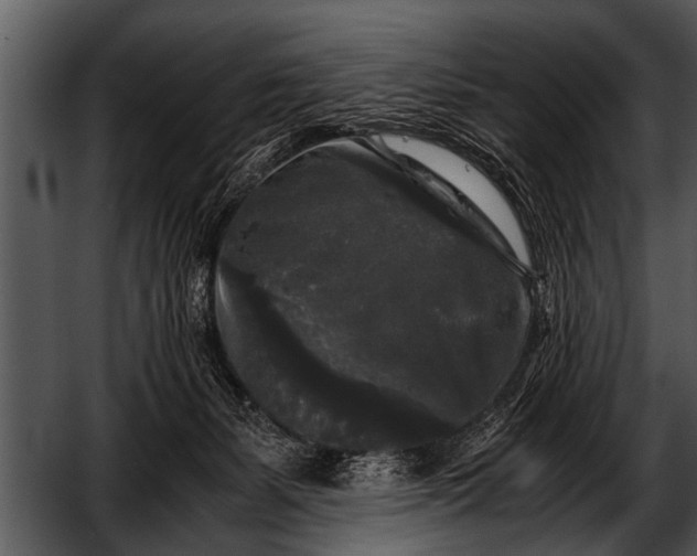 X0000052630127200507160140