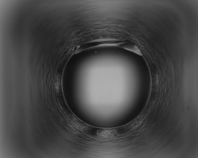 X0000052630129200507160140