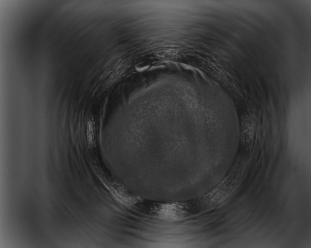 X0000052630130200507160140