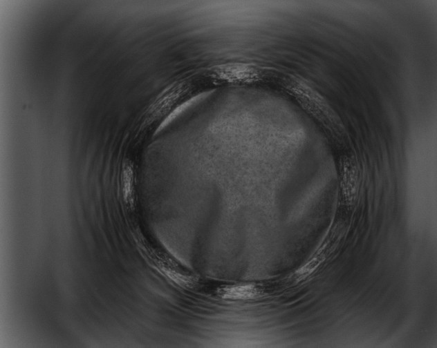 X0000052630132200507160140