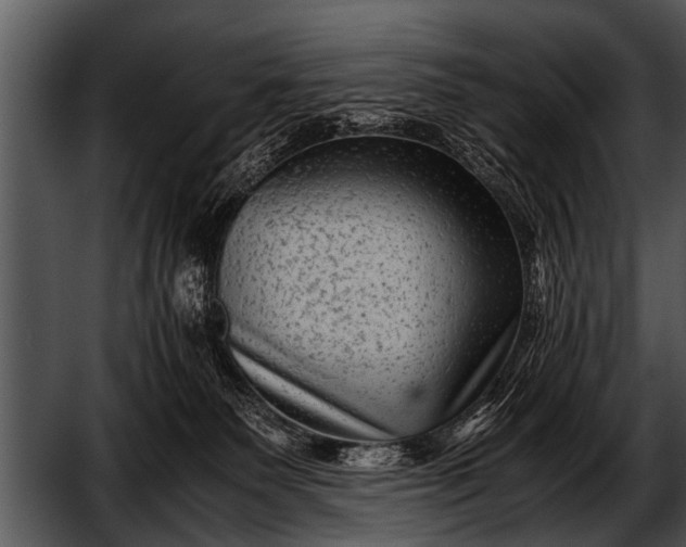 X0000052630135200507160140