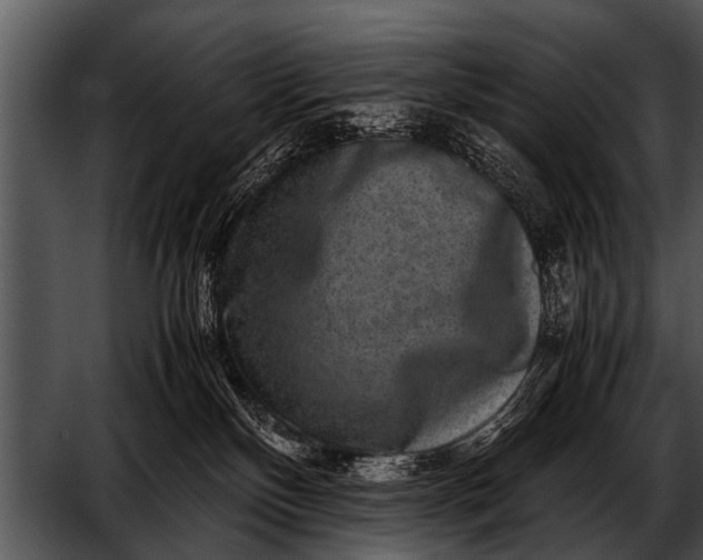 X0000052630136200507160140