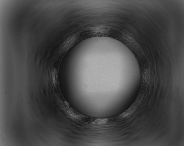 X0000052630138200507160140