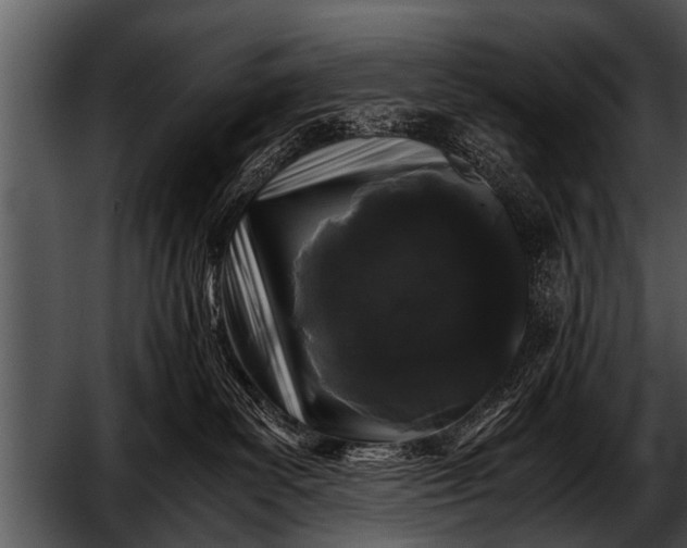 X0000052630139200507160140