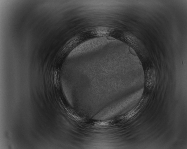 X0000052630140200507160140