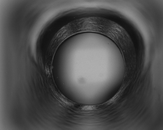 X0000052630142200507160140