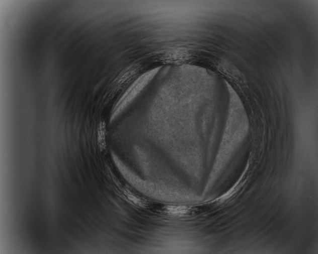 X0000052630144200507160140