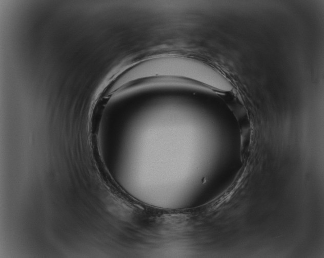 X0000052630150200507160139