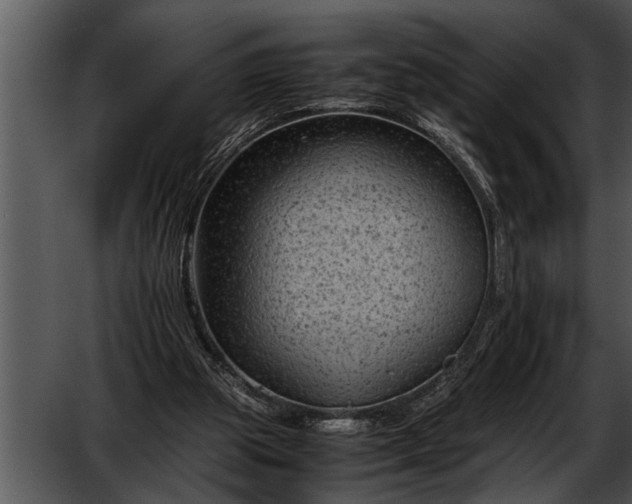 X0000052630153200507160140