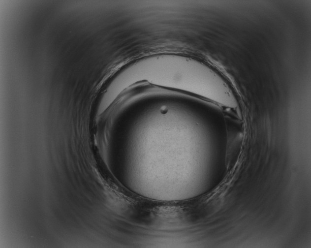 X0000052630154200507160140