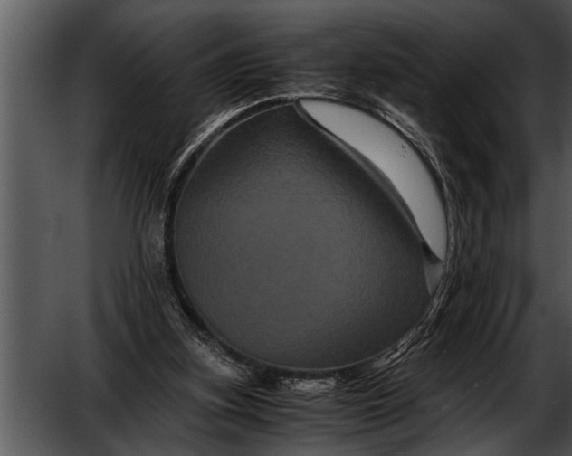 X0000052630155200507160140