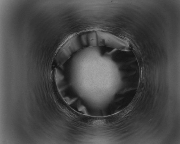 X0000052630156200507160140