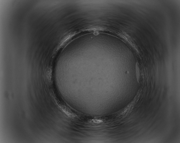 X0000052630159200507160140