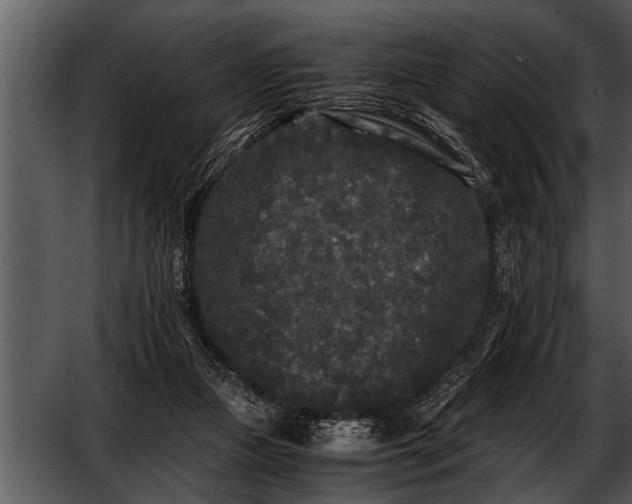 X0000052630161200507160140