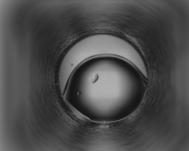 X0000052630162200507160140