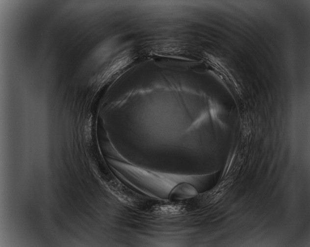 X0000052630163200507160140