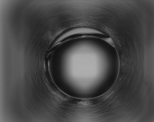 X0000052630164200507160140