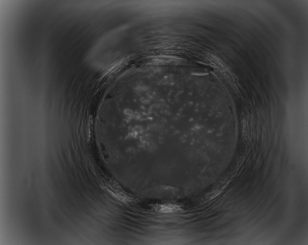 X0000052630165200507160140