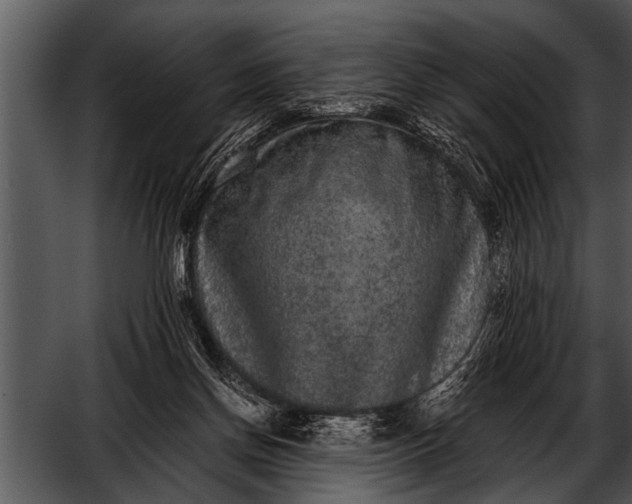 X0000052630166200507160140