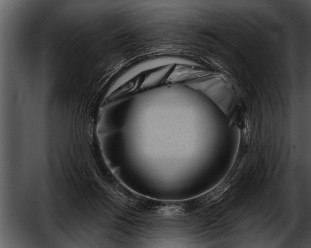 X0000052630168200507160140