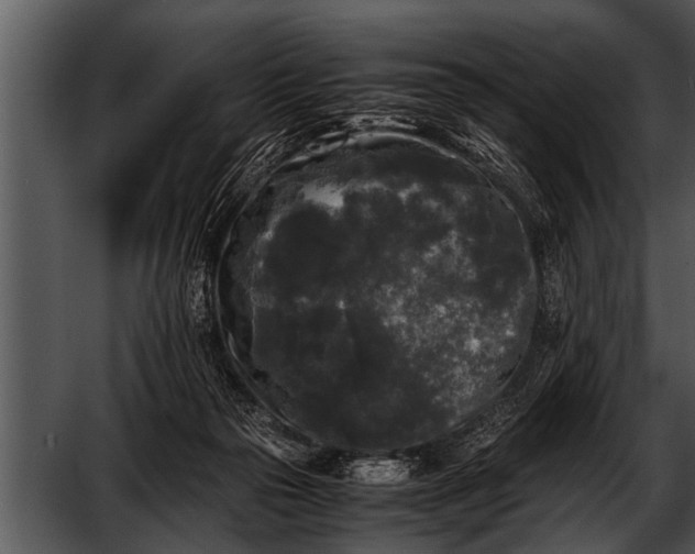 X0000052630169200507160140