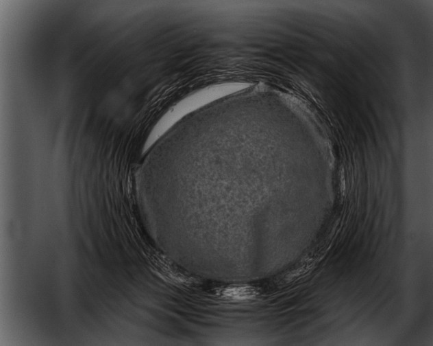 X0000052630173200507160140