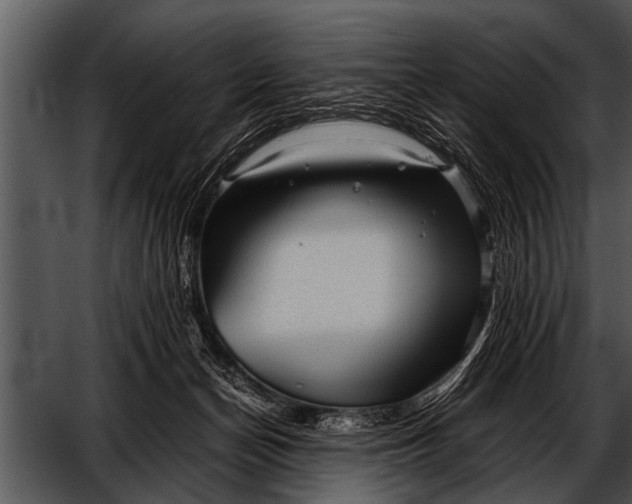 X0000052630174200507160140