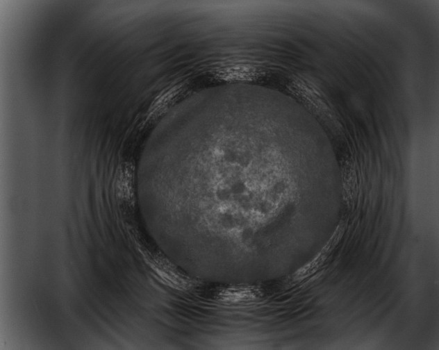 X0000052630175200507160140