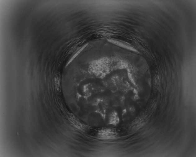 X0000052630177200507160140