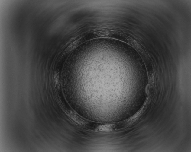 X0000052630178200507160140