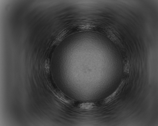 X0000052630179200507160140