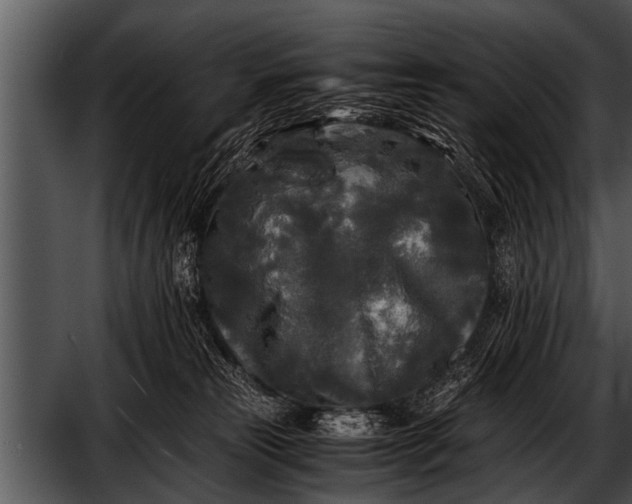 X0000052630181200507160140