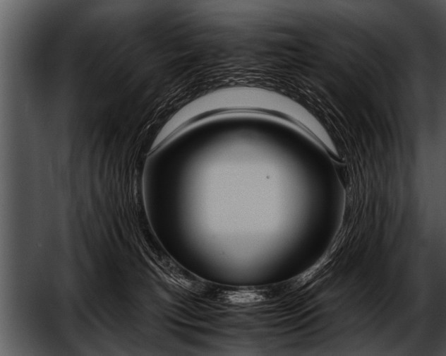 X0000052630183200507160140