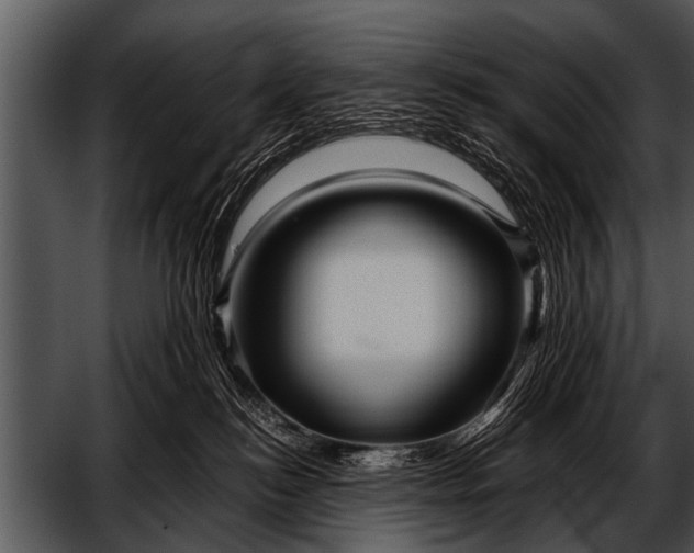 X0000052630184200507160140