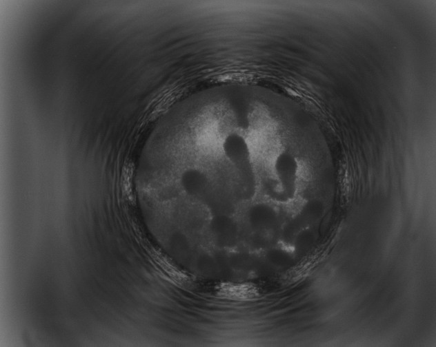 X0000052630185200507160140