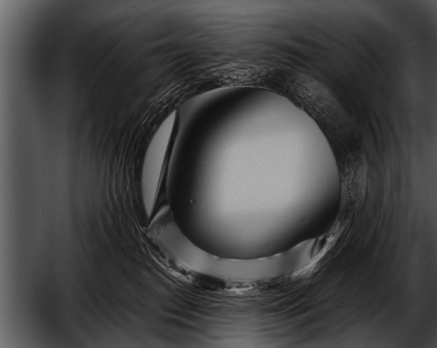 X0000052630186200507160140