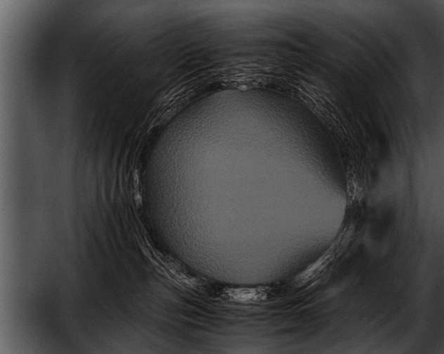 X0000052630187200507160140