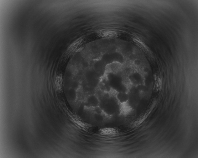 X0000052630189200507160140