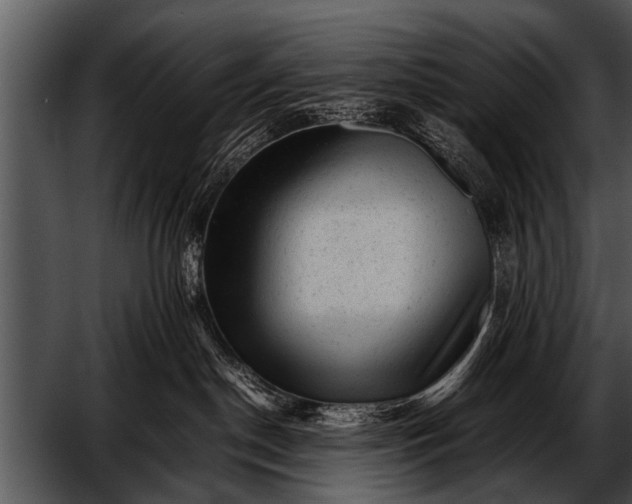 X0000052630190200507160140