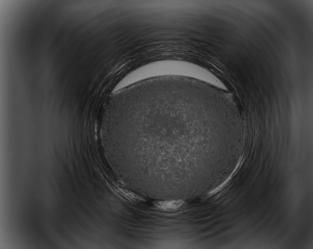 X0000052630191200507160140