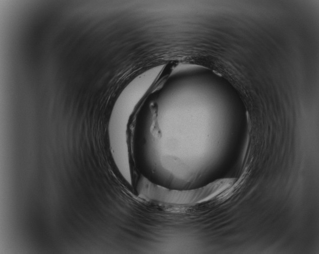 X0000052630192200507160140