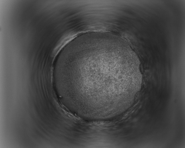 X0000052630194200507160139