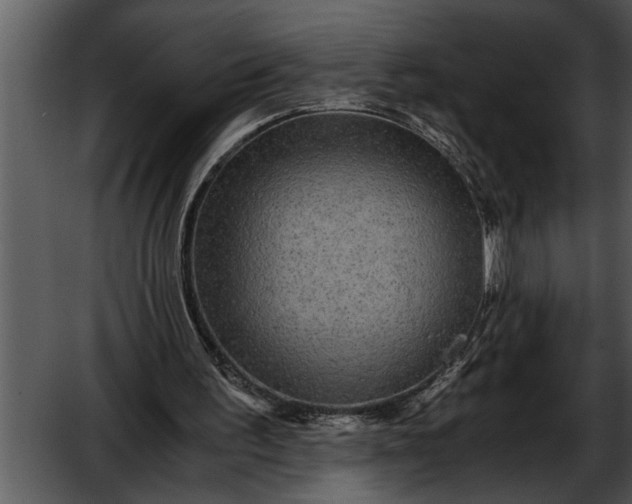 X0000052630195200507160139