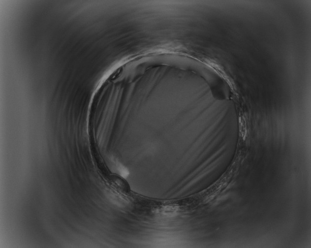 X0000052630196200507160139