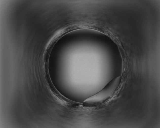 X0000052630197200507160139