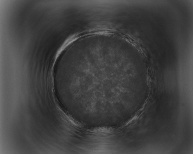 X0000052630198200507160139