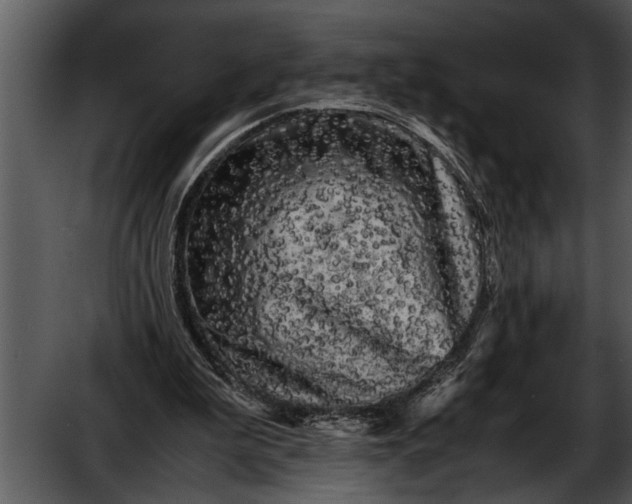 X0000052630199200507160139