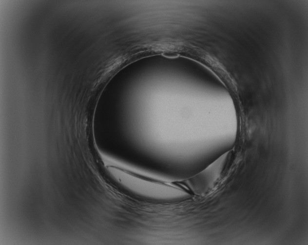 X0000052630201200507160139